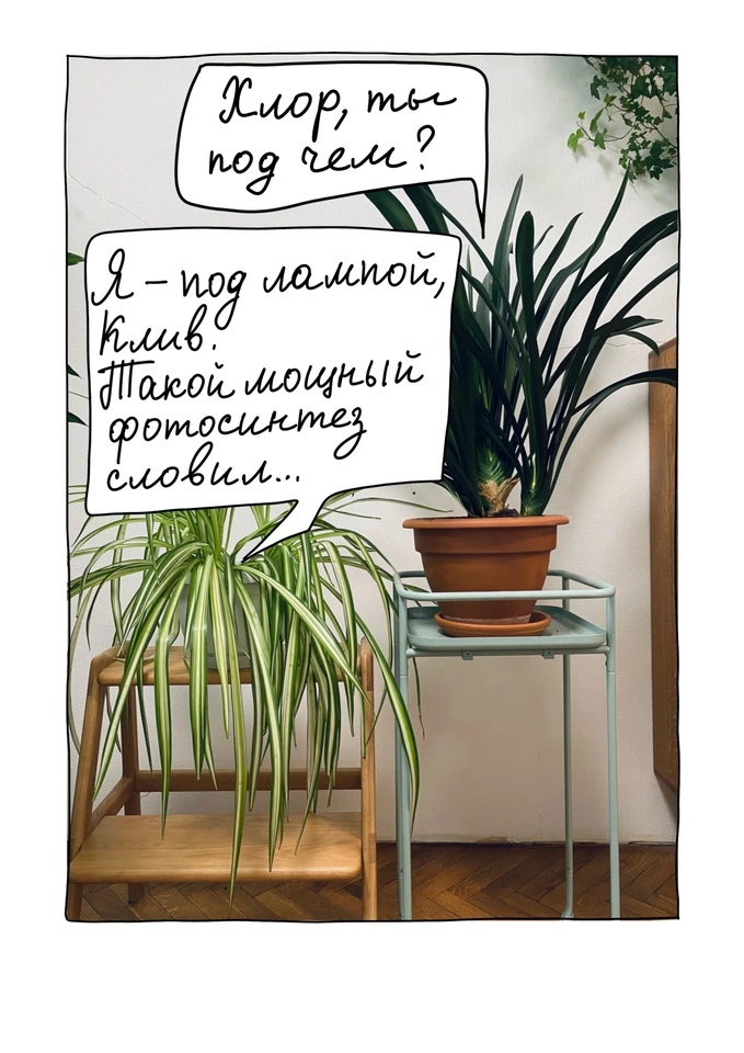 Наивная комикс смотреть
